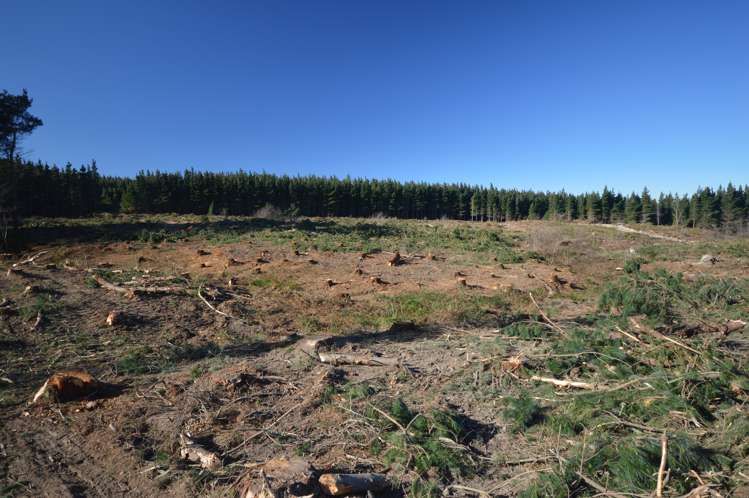 423 Hayland Road Okuku_3