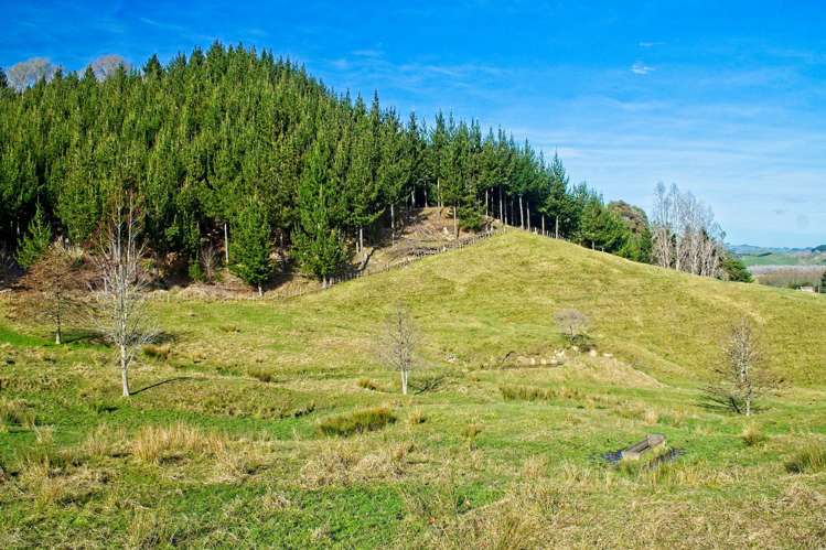 Ormond Valley Road Ormond_17