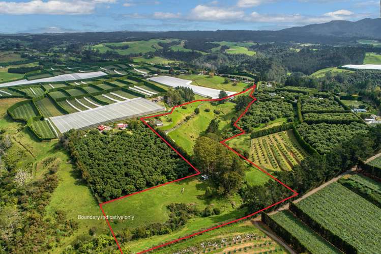 285c Wainui South Road Whakamarama_18