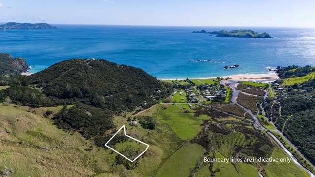 RARE FIND: Prime Section at Tauranga Bay!