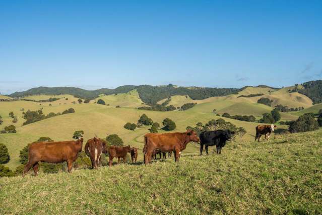 1133&1137 Matapouri Road Tutukaka_4