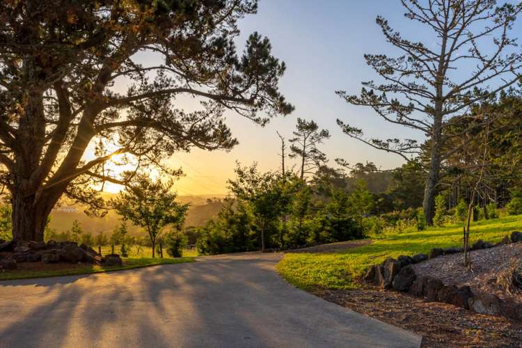 43d Terry Smyth Drive Kumeu_42