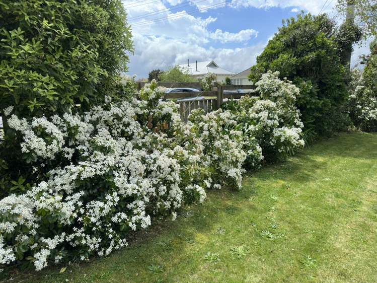 1 London Street Eltham_11