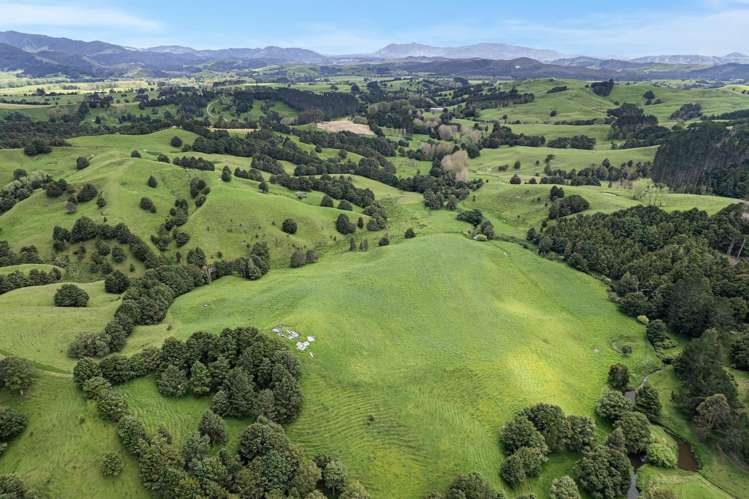 Coxhead Road Parakao_9