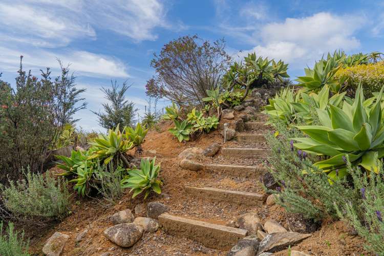 554 Boat Harbour Road Whenuakite_22