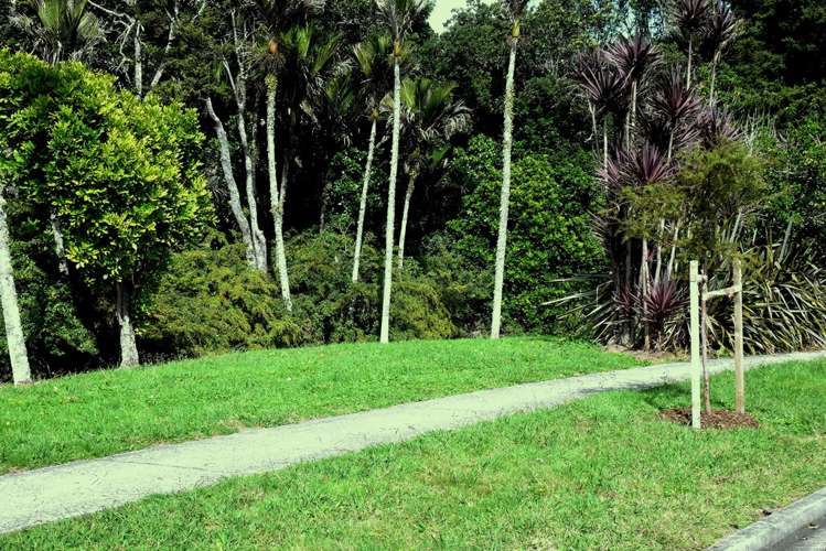 35 Norwood Drive Flat Bush_17