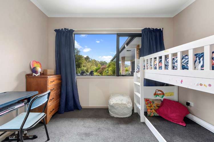 698d Whakamarama Road Whakamarama_9