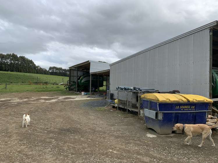 20 Forsyth Road Catlins Surrounds_18