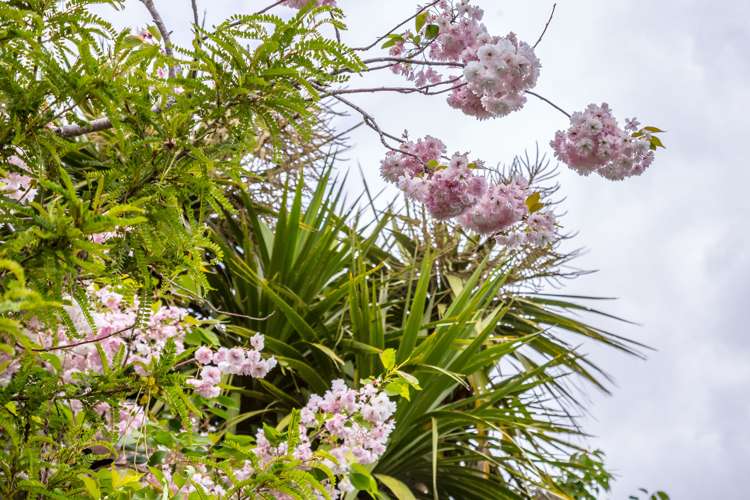 6 Udy Street Greytown_21