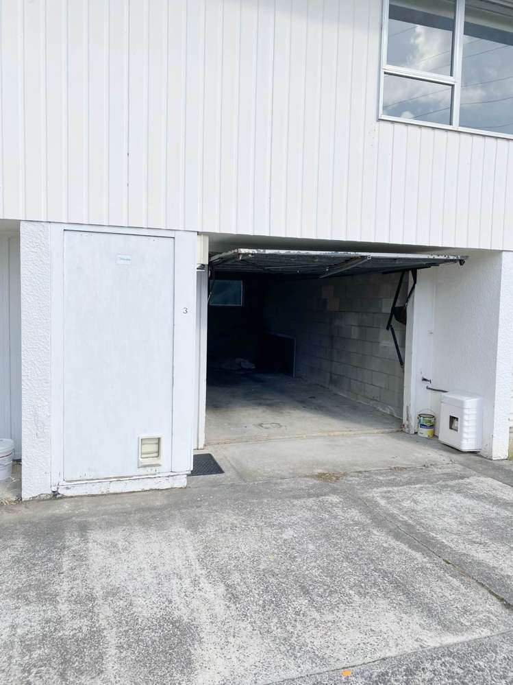 3/2 Olsen Avenue Hillsborough_11