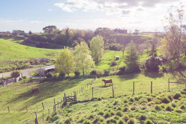 47 Knight Road Dannevirke_22