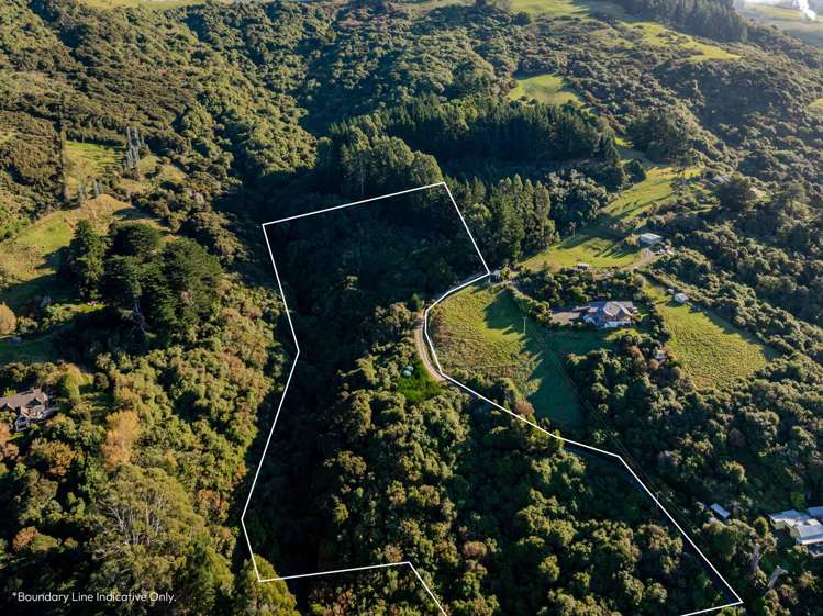 31 Tui Street Saint Leonards_9