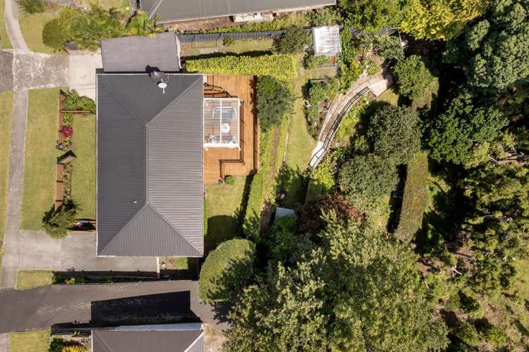 212 Bellevue Road Bellevue_30