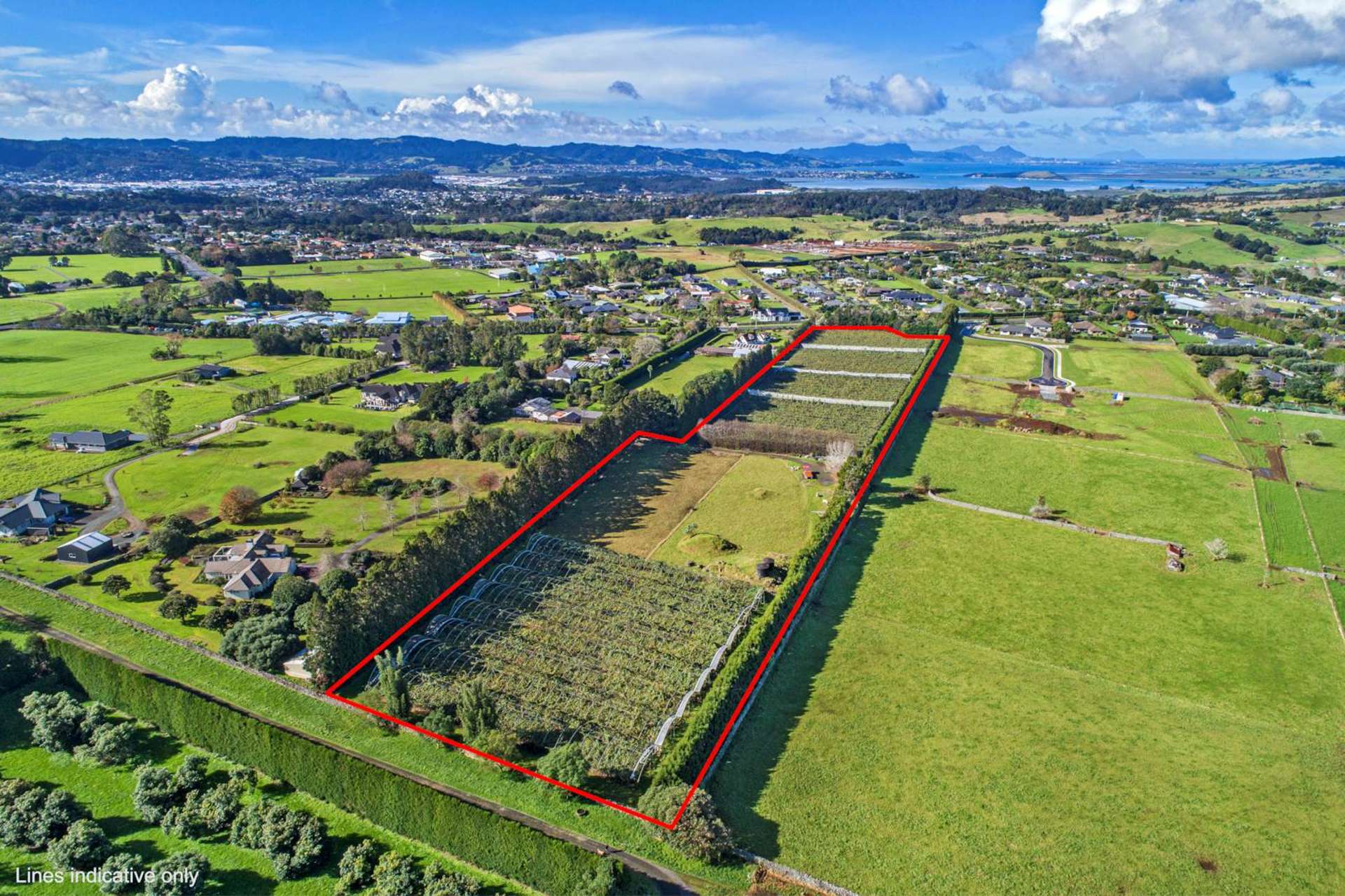 48 Austin Road Maunu_0