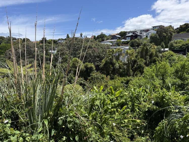 37A Hendry Avenue Hillsborough_22