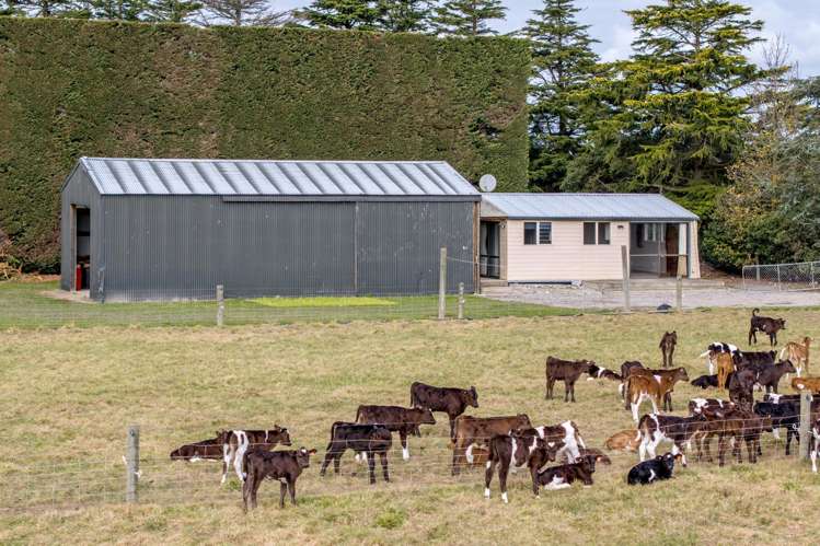371 Old South Road Dunsandel_20