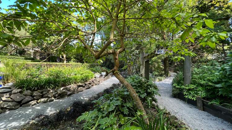 41 Balrudry Street Avonhead_6