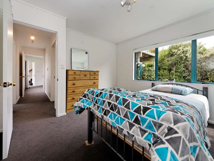 123 Piha Road Piha_16