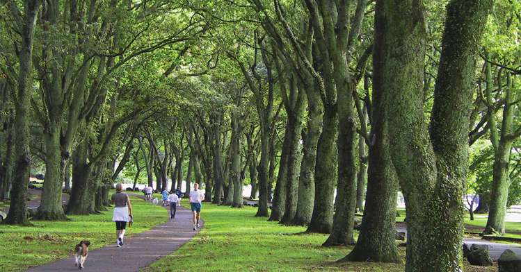 1 Fern Avenue Epsom_23