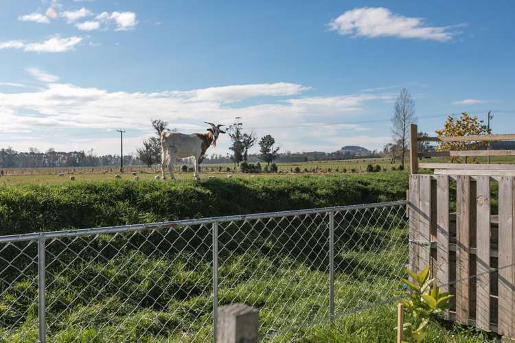 94 Farm Road Waipukurau_22