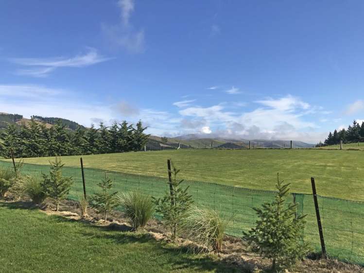 176 Gunn Road Catlins Surrounds_12