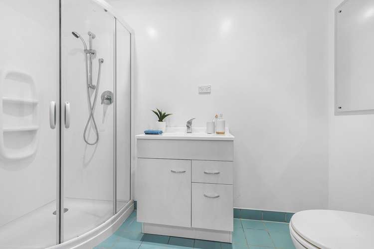 100 Larsen Crescent Tawa_31