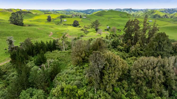 246 Kupara Road Inglewood_13