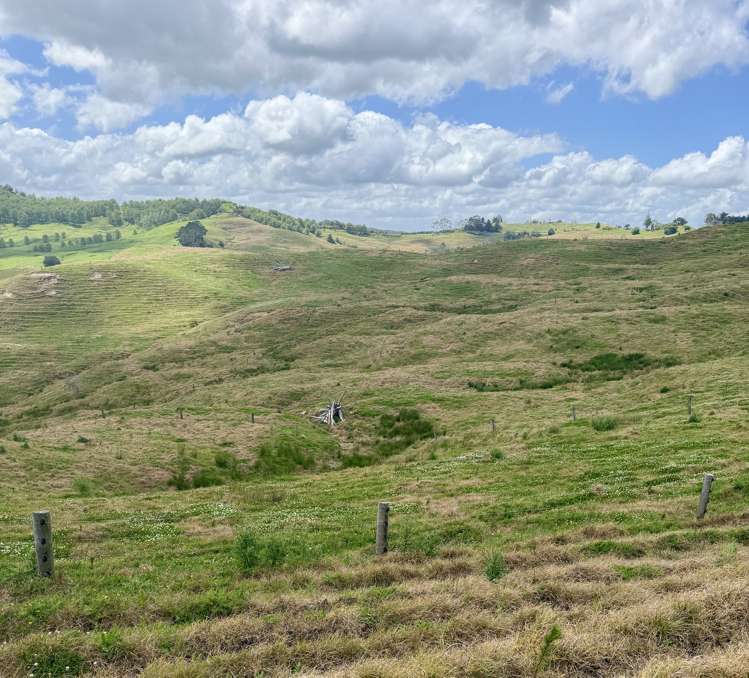 Pukehuia Road Arapohue_10