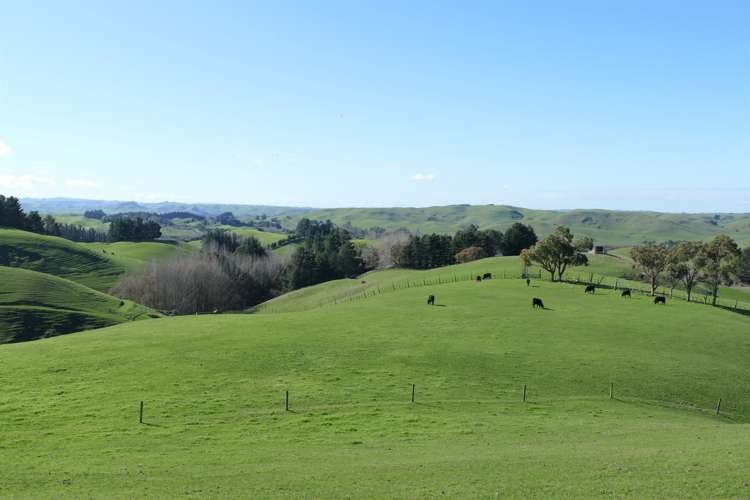 712 Matapiro Road Crownthorpe_17