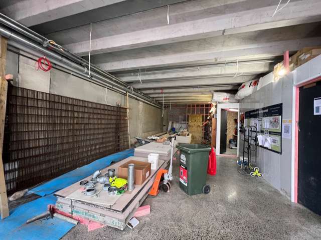 223 Ponsonby Road Ponsonby_1