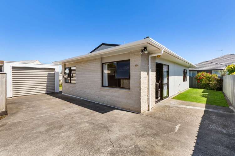 12A Antrim Place Springvale Whanganui Houses for Sale One Roof