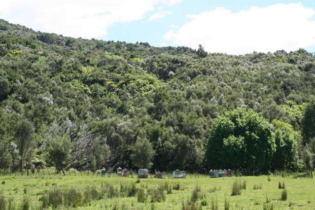 196 Griffiths Road Ruatoria_3