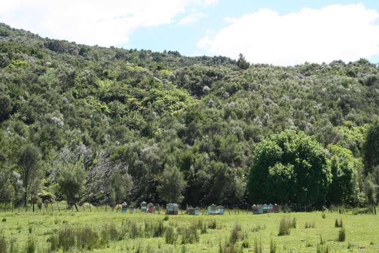 196 Griffiths Road Ruatoria_3