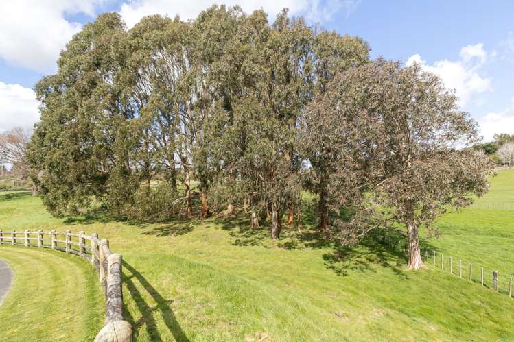 159 Tutaenui Road Marton_33