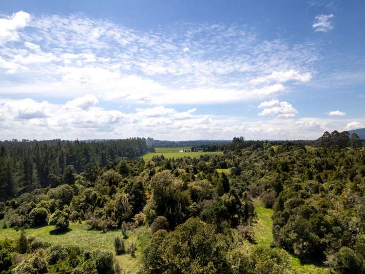 205 Mangaturuturu East Road National Park_5