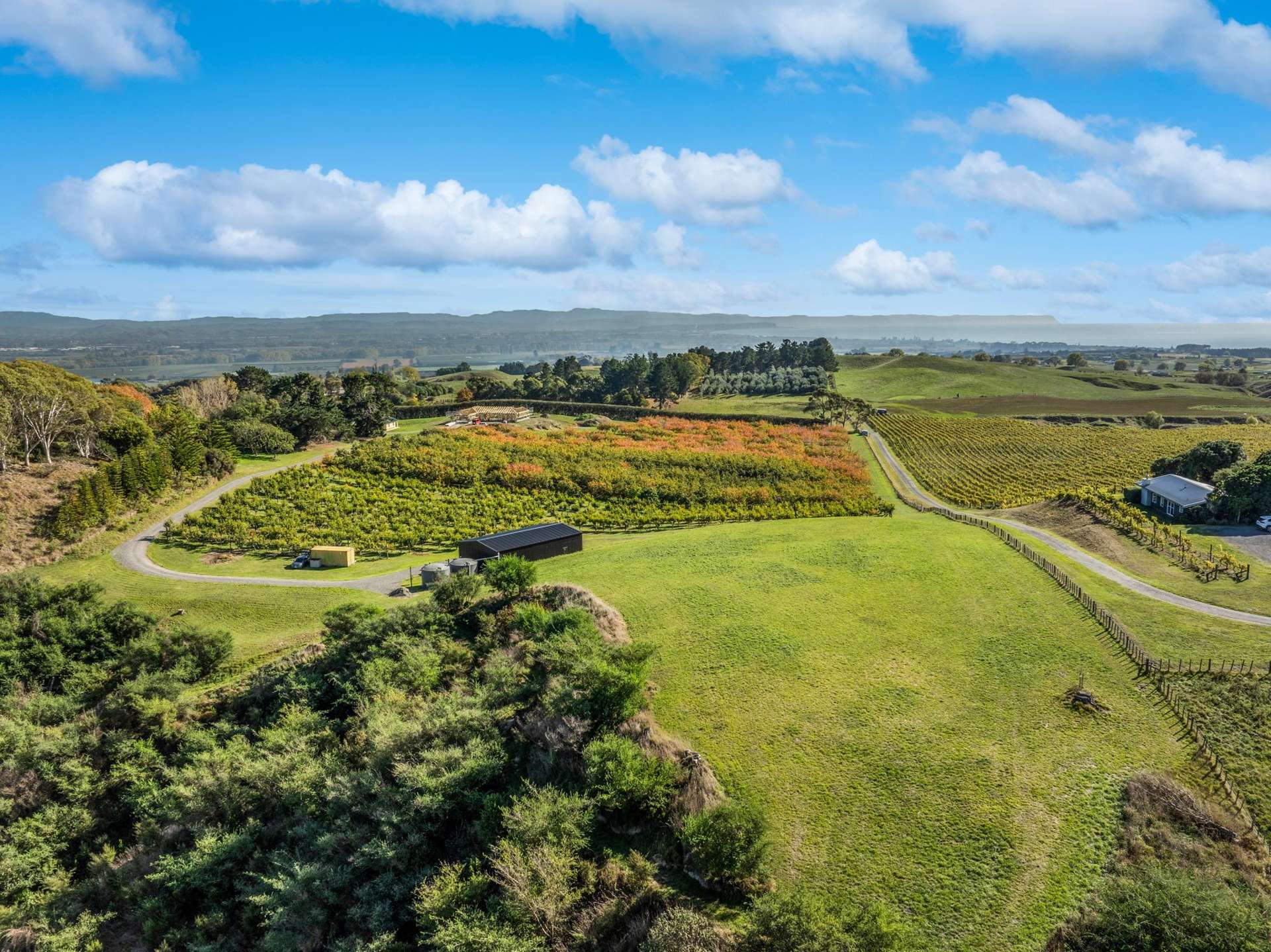 Millar Road Haumoana_0