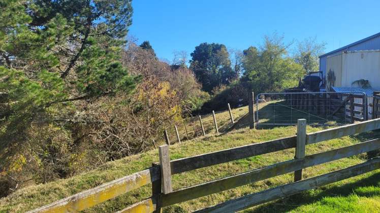 341 Tauwhare Road Tamahere_3
