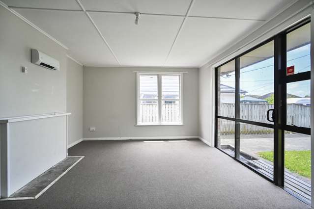 912 Bledisloe Street Raureka_3