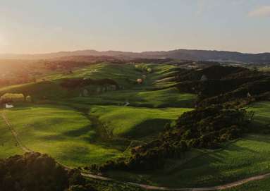 Lot13/2343 Cove Road_4