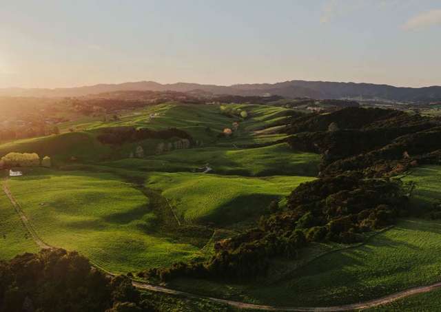 Lot13/2343 Cove Road Mangawhai_4