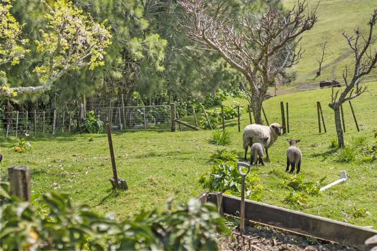 416 Kaitemako Road Welcome Bay_11