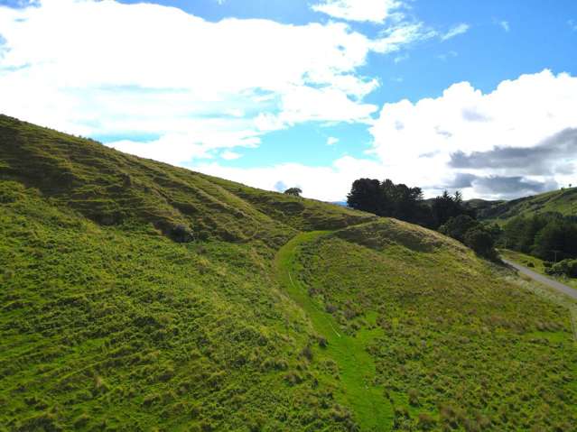 40 Totara Road Awapuni_1