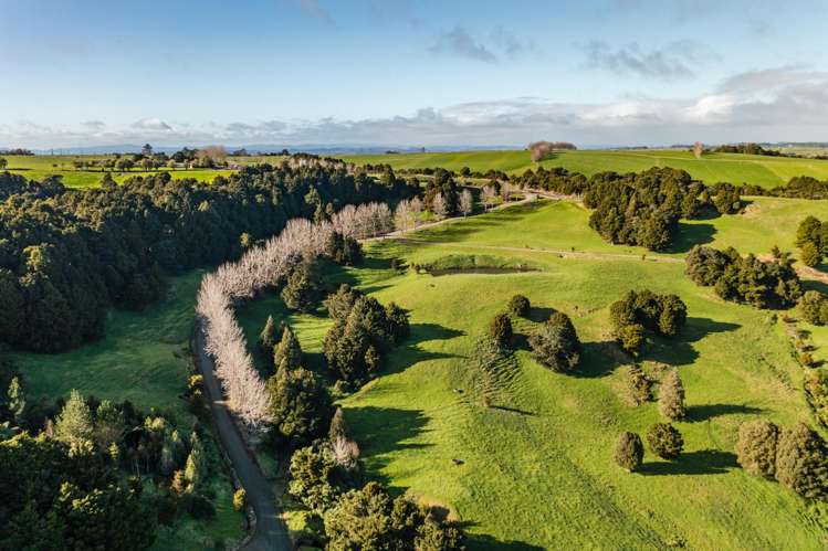 Lot 3 Pungaere Road Kerikeri_15