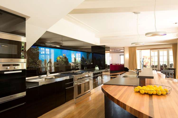 186 Mahoenui Valley Road Coatesville_12