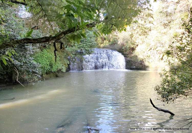 39/5 Perekia Street Albany_17