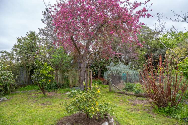 31 Gordon Street Masterton_14