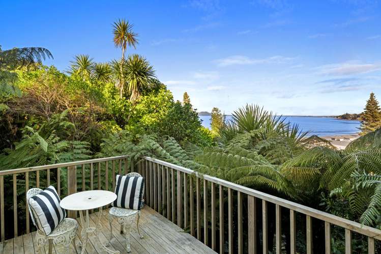29 Oban Road Browns Bay_29
