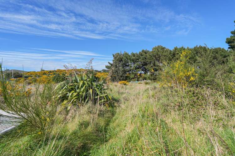 65 Suir Street Bluff_20
