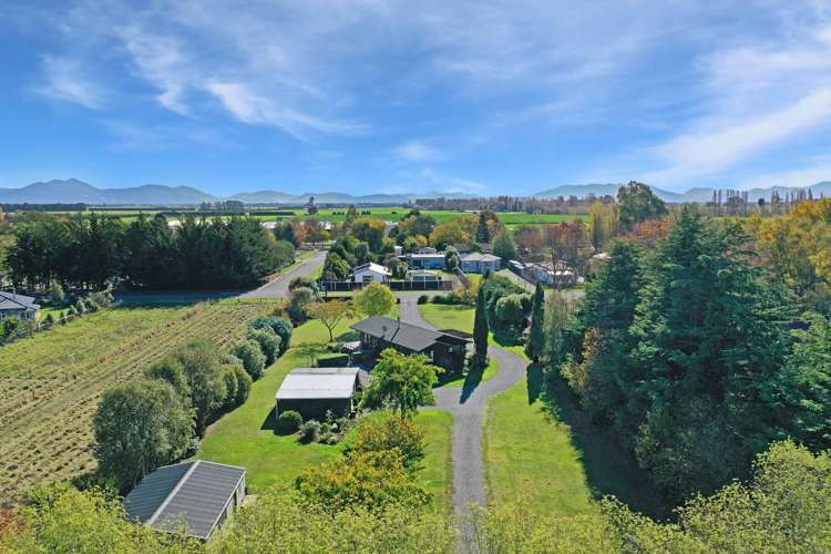 57 David Street Hinds_32