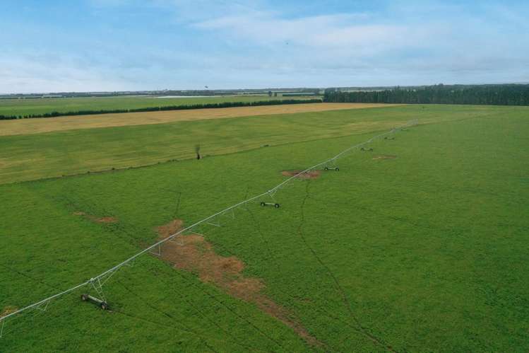 Burnham Road Temuka_13